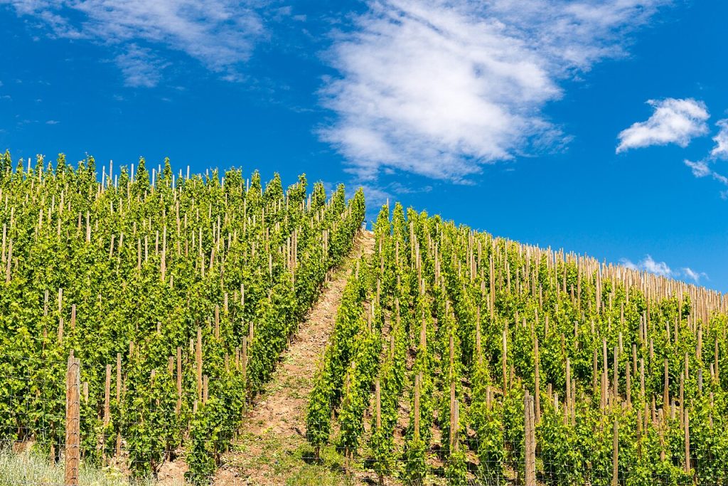 Walla Walla Valley, Washington