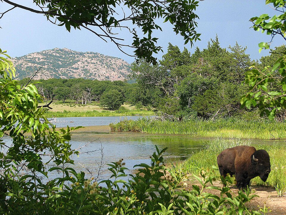 Wichita Mountains Wildlife Refuge, Oklahoma