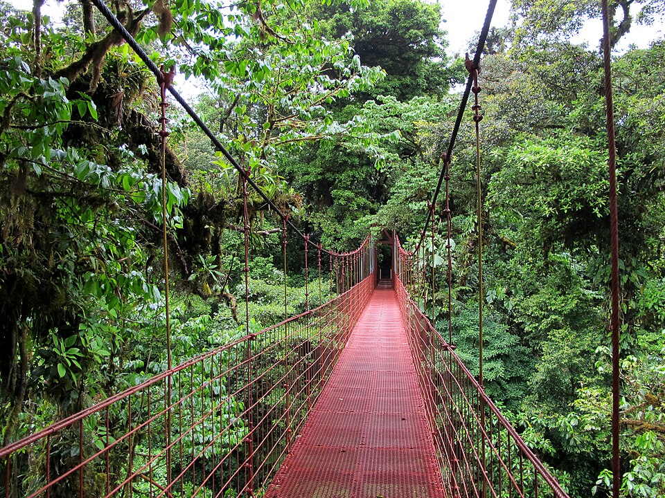 Monteverde Cloud Forest Reserve In Costa Rica