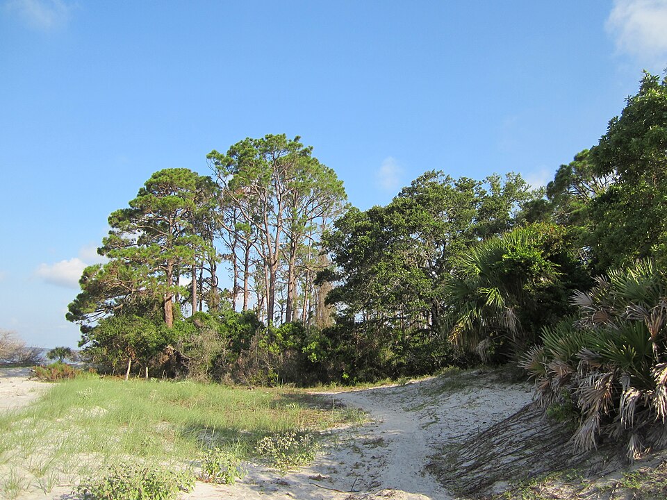 Cumberland Island National Seashore, Georgia