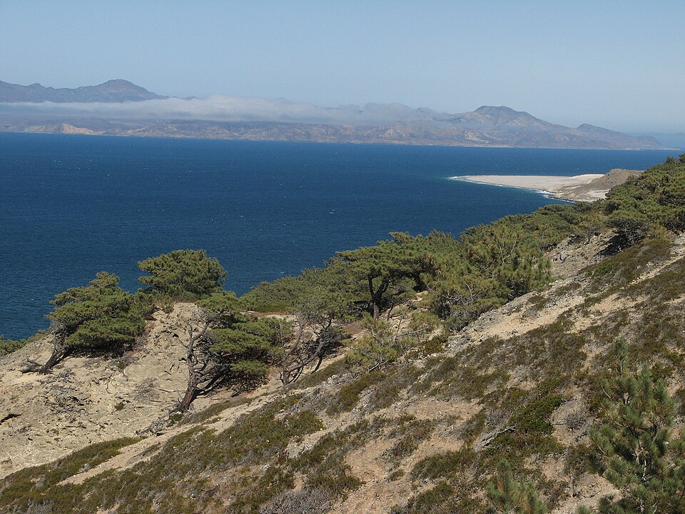 Santa Rosa Island, California
