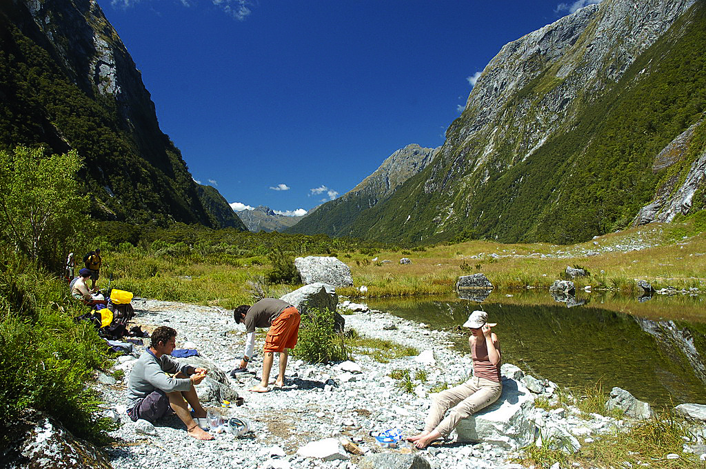 Milford Track In Fiordland National Park