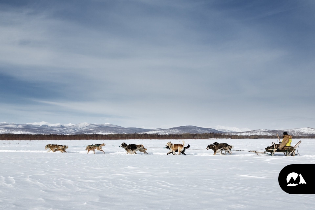 Kamchatka Beringia Sled Dog Race