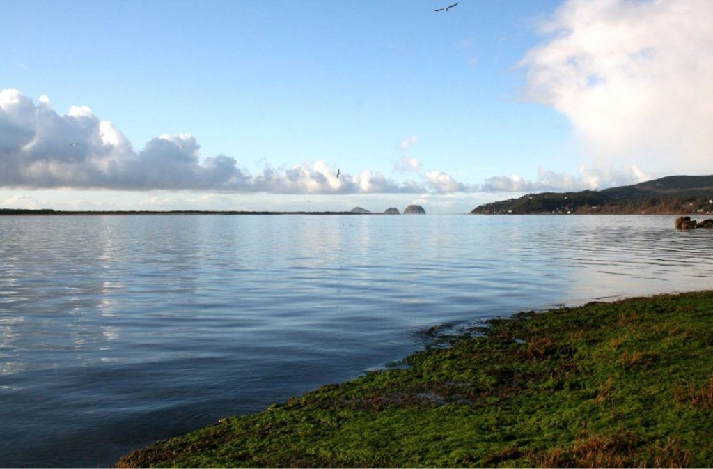 Netarts Bay and Easy Oyster Stops
