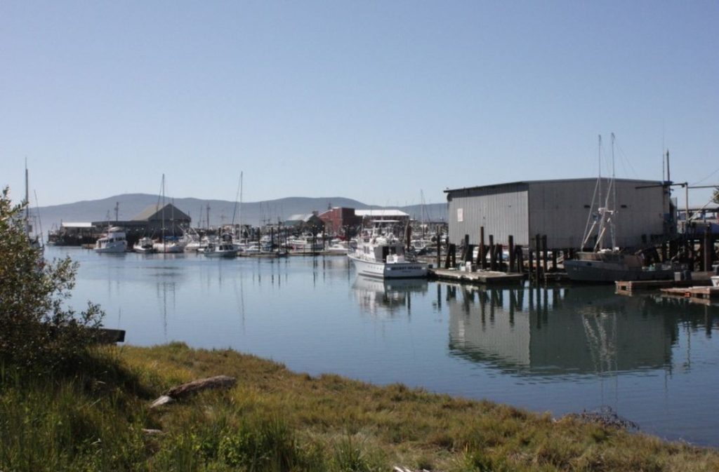 Garibaldi Harbor and Bay Quiet