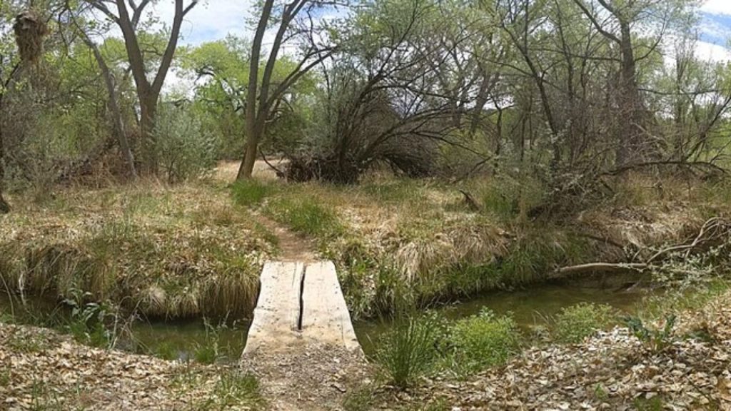 Santa Fe Arroyo Hondo, New Mexico