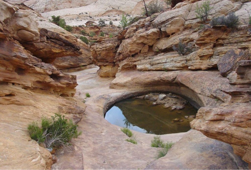 Capitol Reef Waterpocket Washes, Utah