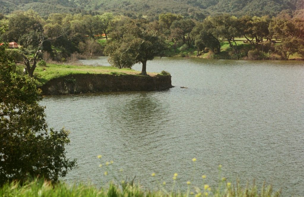 Santa Ynez Valley, California