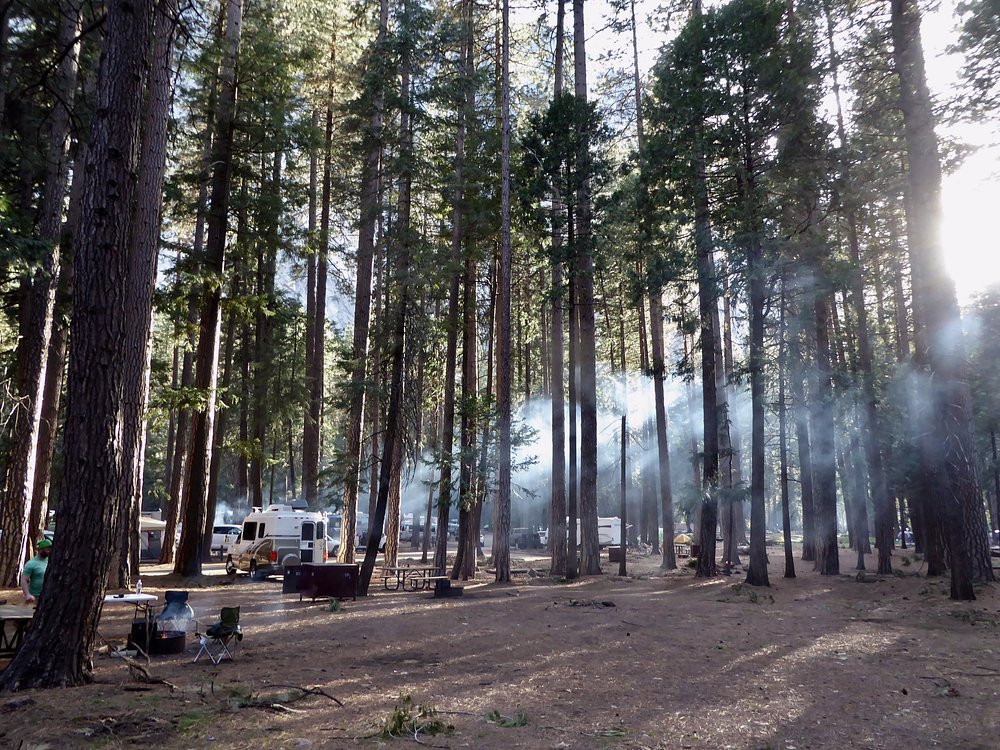 Upper Pines Campground In California