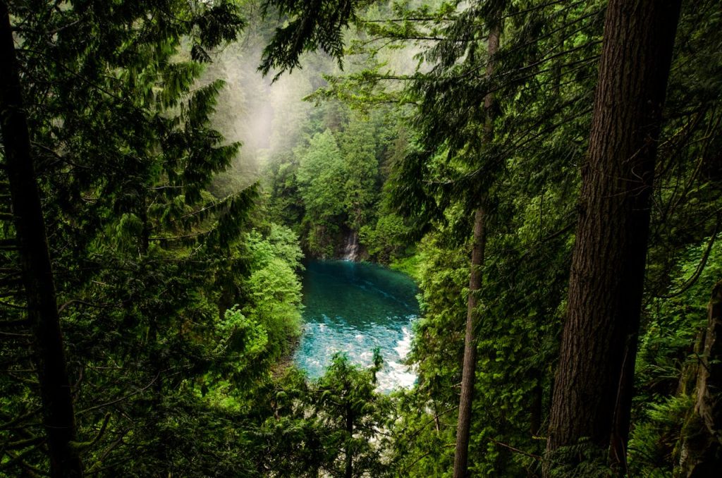 Body of Water in Forest in North Vancouver, BC, Canada