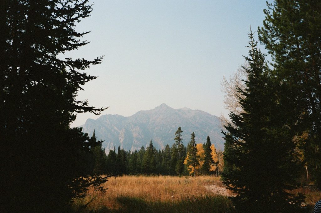 Log Chalet In Jackson Hole, Wyoming