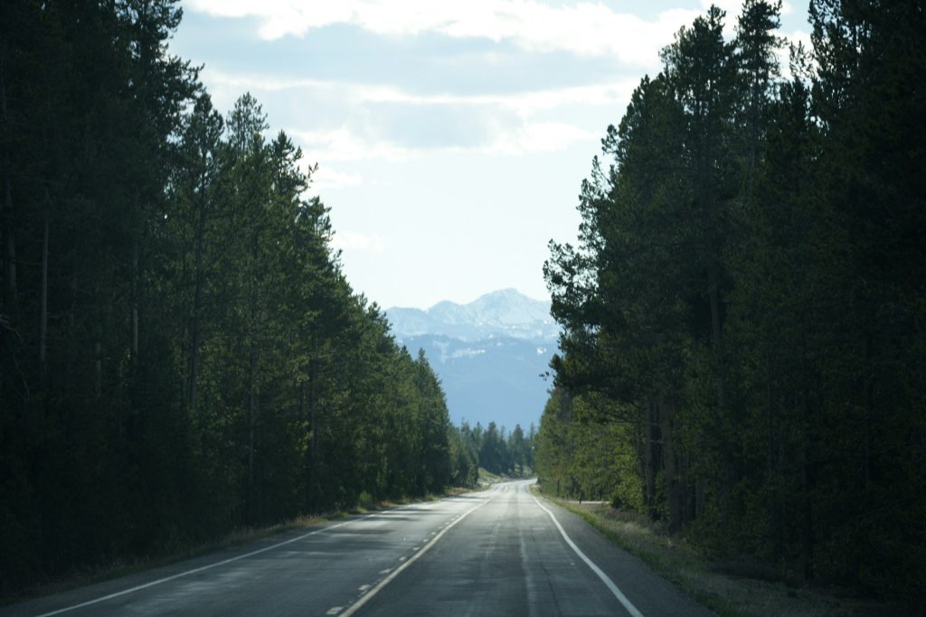 Yellowstone’s Main Roads in July