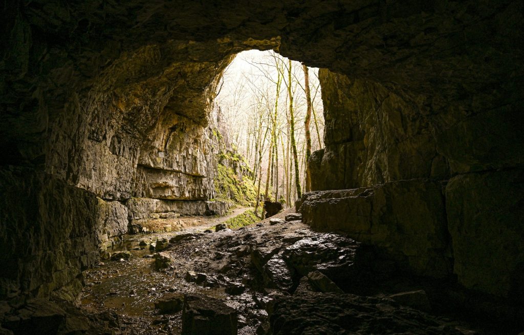 Flowing Stone Cave, Georgia