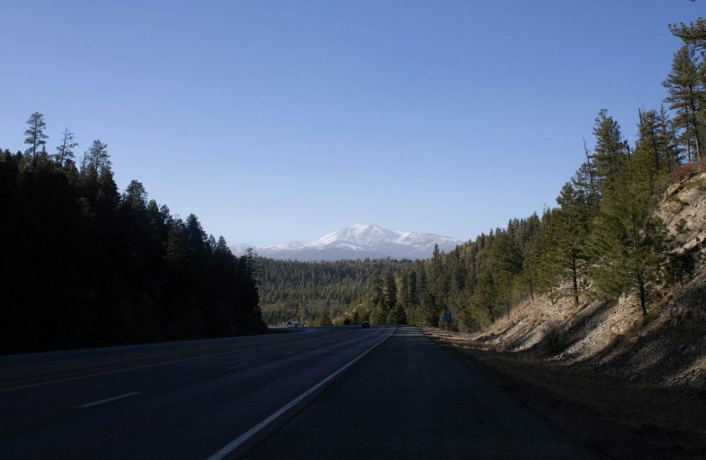 Daylight-First Roads Into The Wilderness