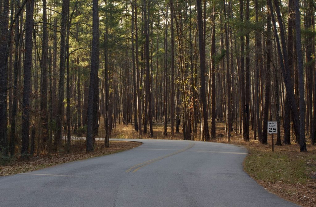 Congaree National Park, South Carolina