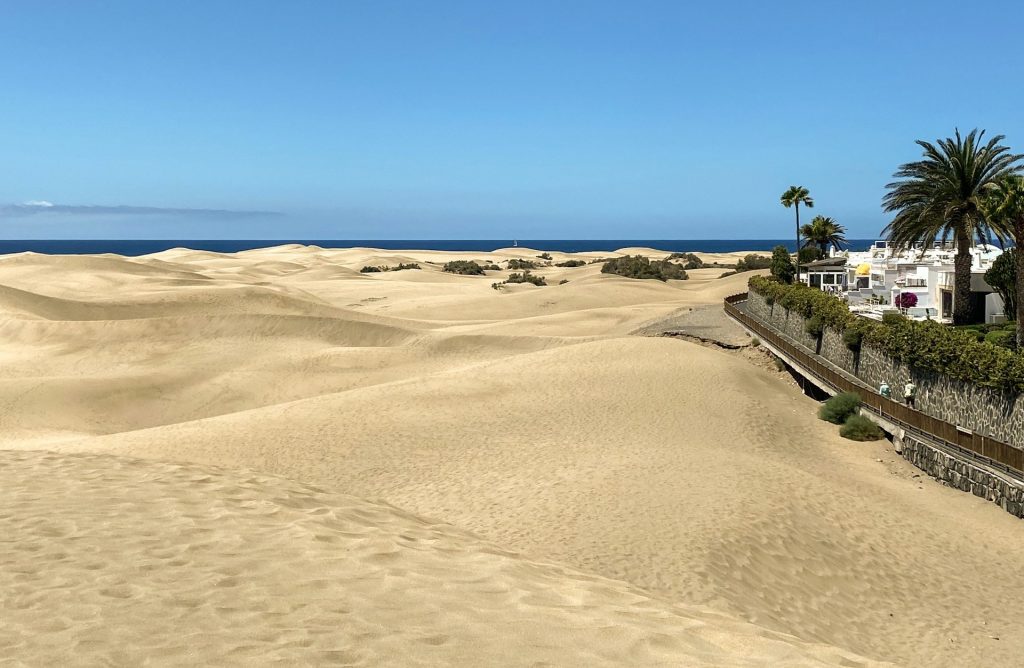 The Dune-Side Minimalist