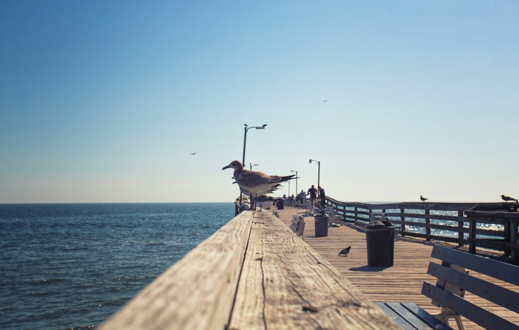 Virginia Beach, Virginia