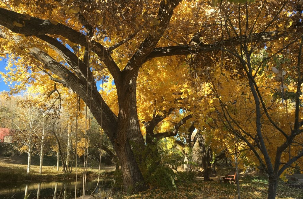 Santa Fe, New Mexico 