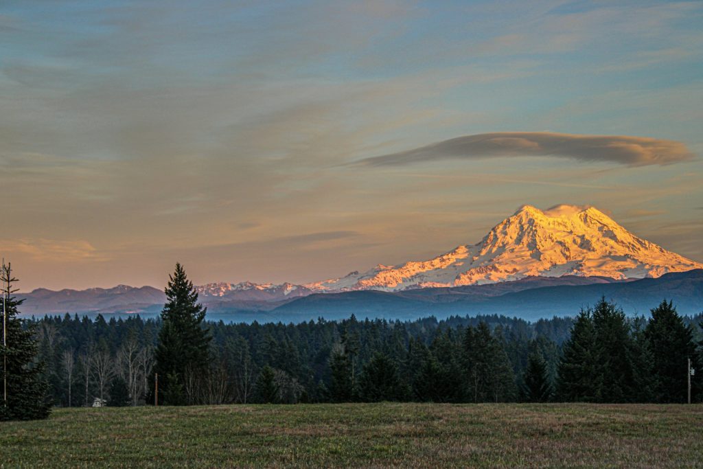 Paradise And Sunrise Overlooks, Mount Rainier, Washington