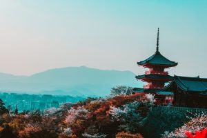 Red and Black Temple Surrounded by Trees Photo in Japan