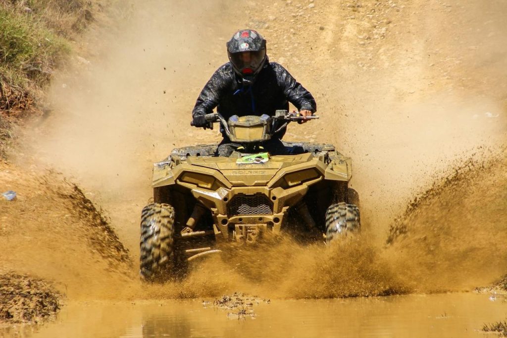 Desert Wash After Monsoon