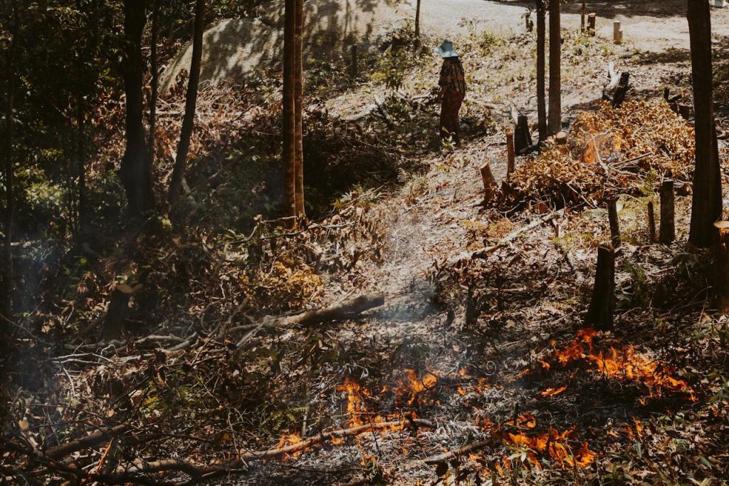 Burn Scar Canyon Track
