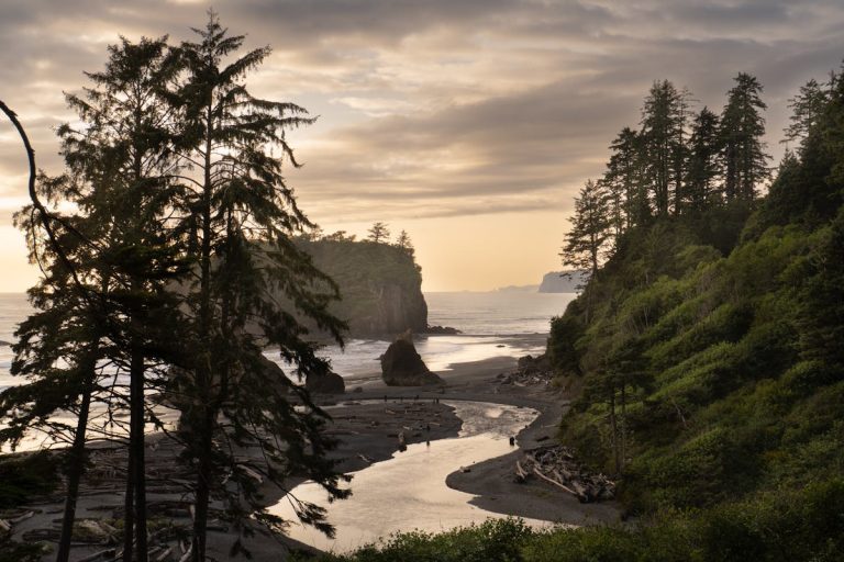 Serene Pacific Northwest Beach at Sunset