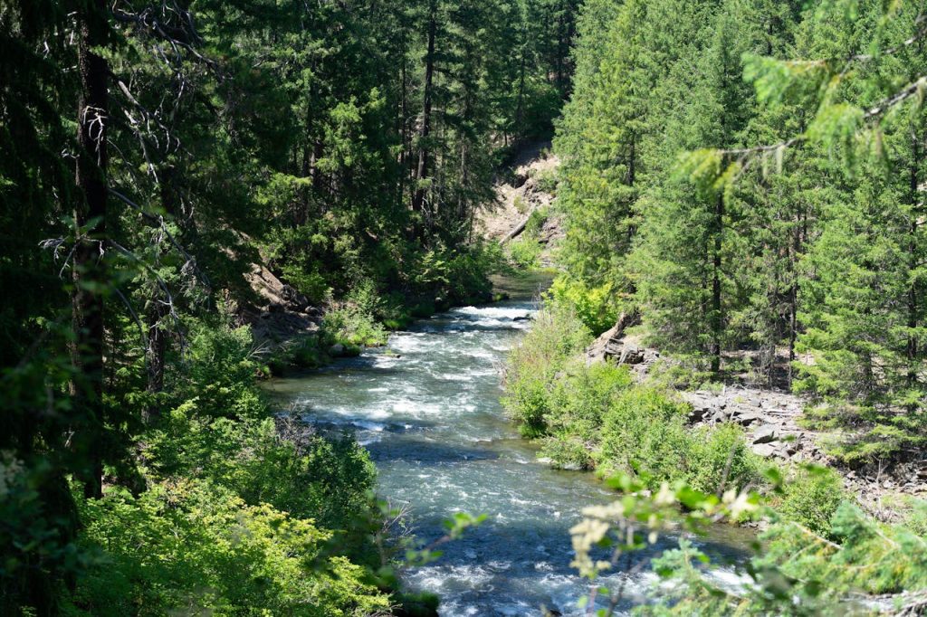 Rogue River Wild Section, Oregon