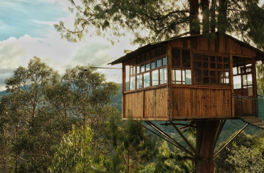 Redwood Treehouses In Northern California