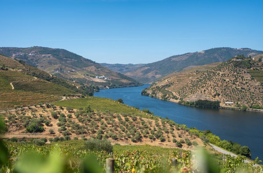 Douro Valley, Portugal