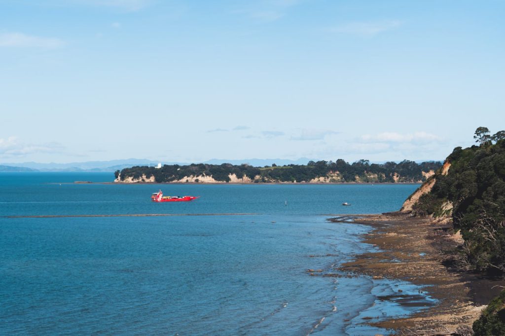 New Zealand Landscape