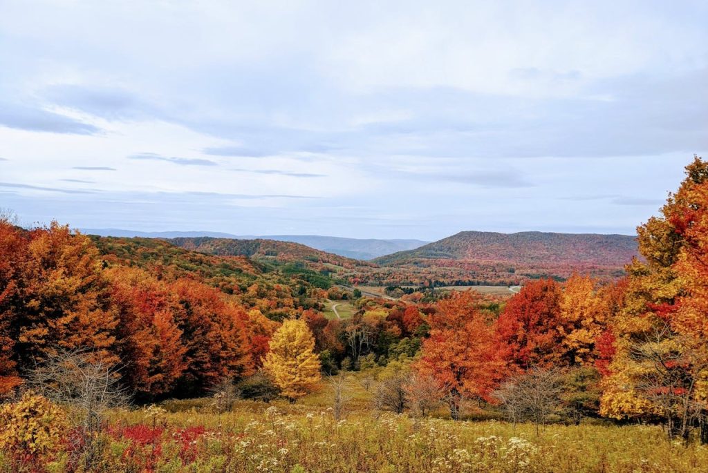 West Virginia’s Monongahela Highlands