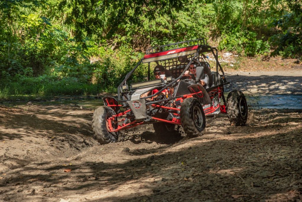 Mountain Meadow Two-Track