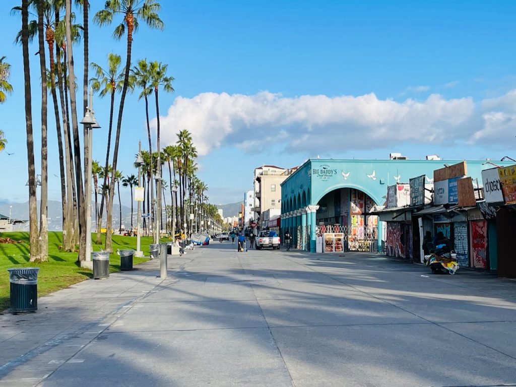 Sunny Day at Venice Beach Boardwalk, Los Angeles