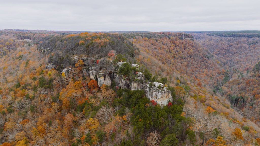 The Cumberland Plateau