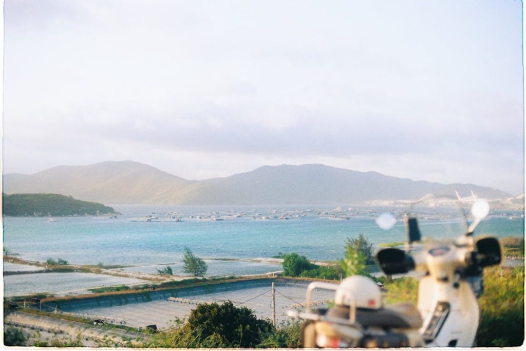 Promenade Hills With Ocean Mist