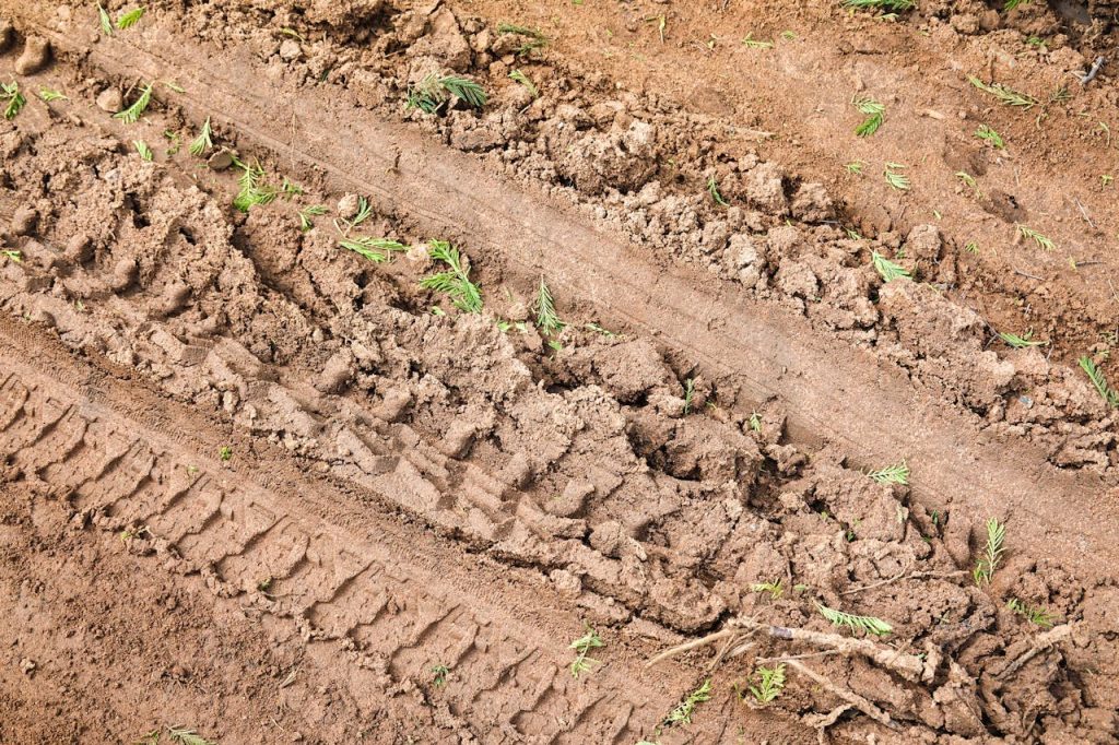 Logged Hillside Skid Road