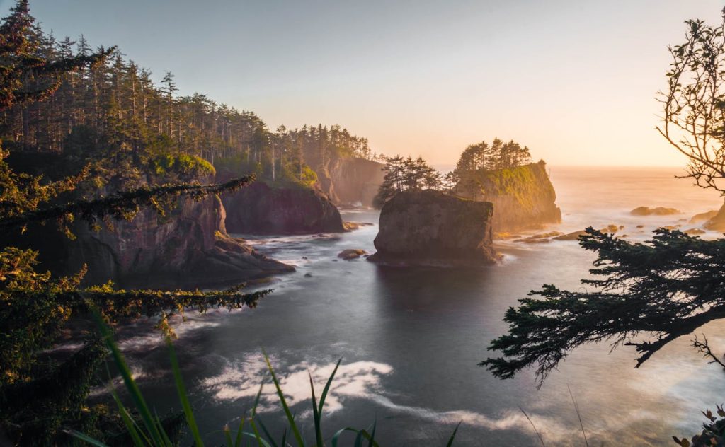 Washington’s Olympic Peninsula: Hoh and Cape Flattery