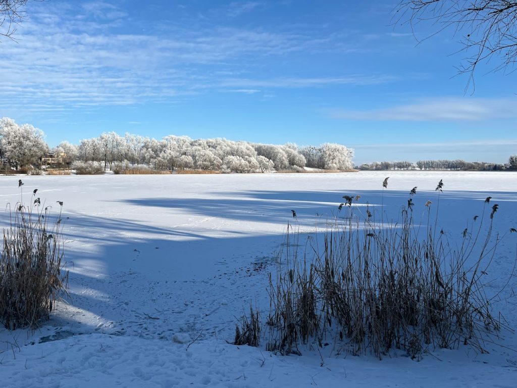 Winter Landscape with Frosted Trees in Sztum