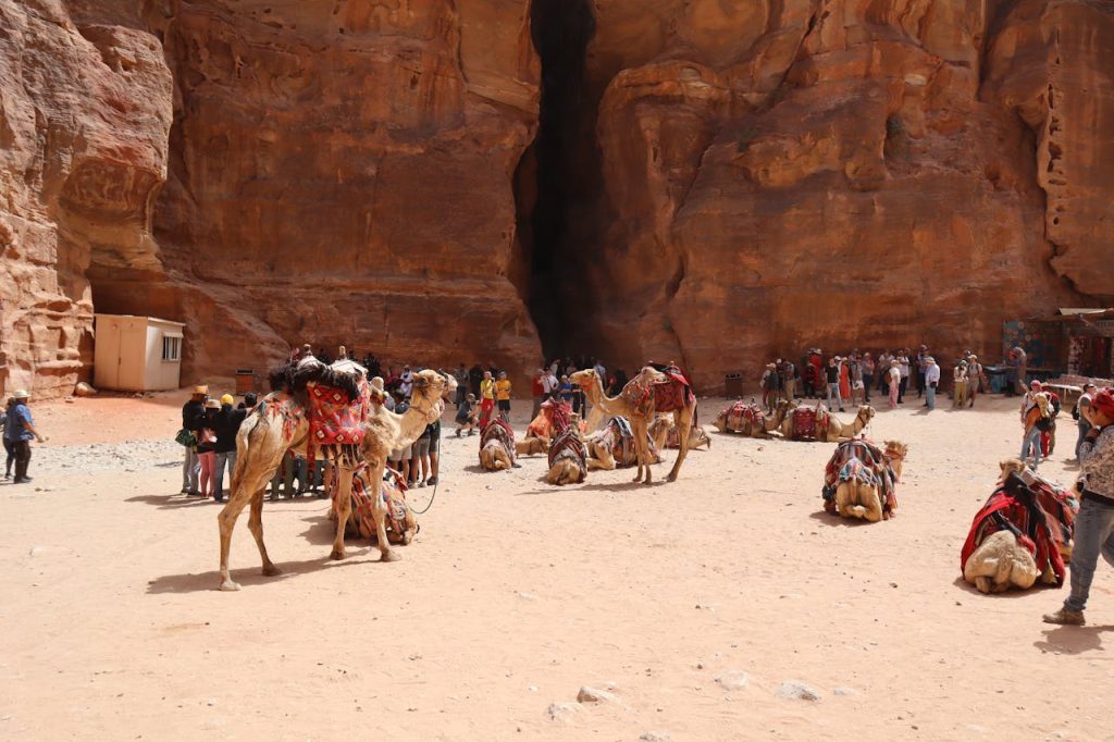 Petra and the Siq, Jordan