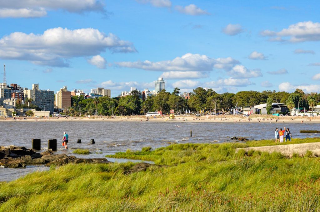 Montevideo Coastal Cityscape with Beachfront