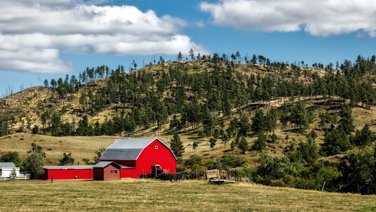 Red Wooden Shed on Farm Land