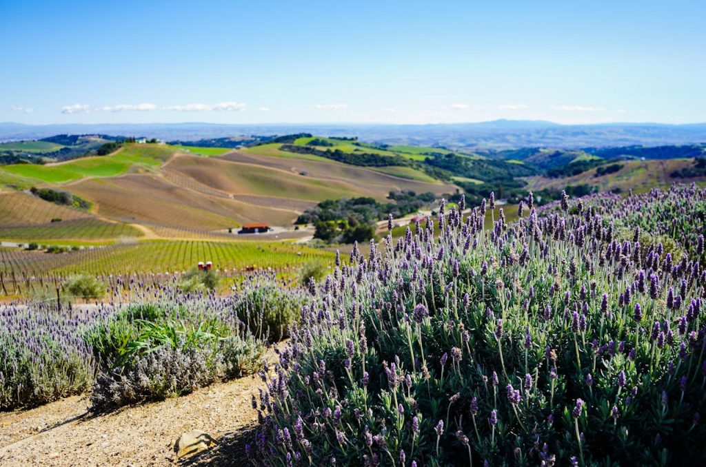Paso Robles, California
