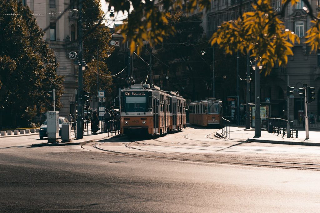 View of Trams on the Street in a City in Sunlight 
