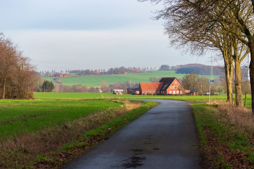 Scenic Road Trips With Detours