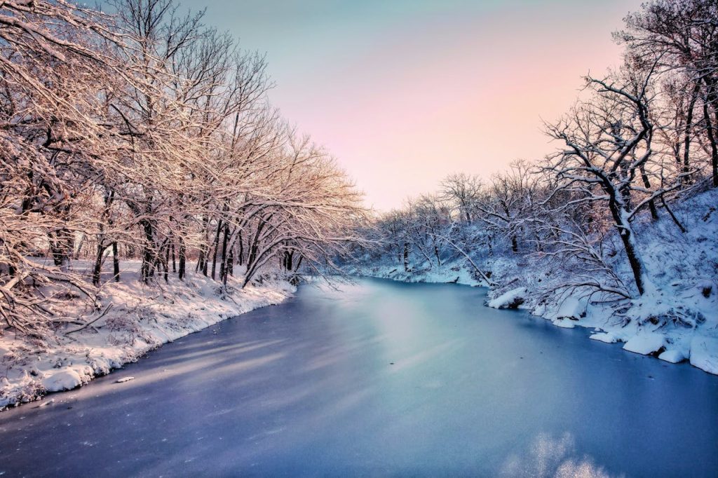 View of a Frozen Body of Water between Snowy Trees