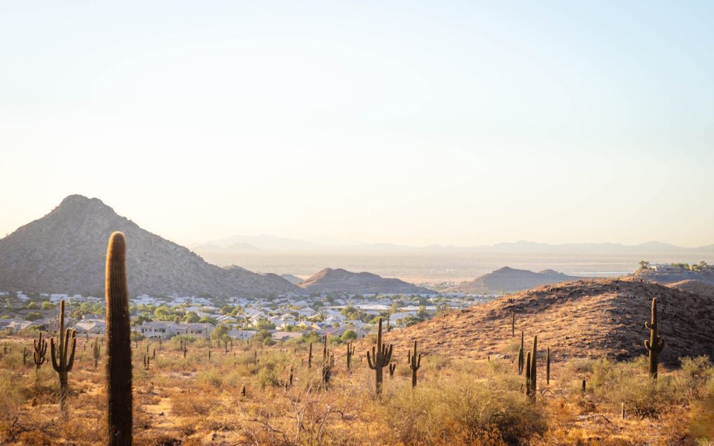 Cactus and Village on Mountains, Phoenix, AZ, United States