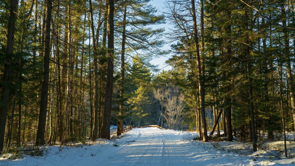 Adirondack Lakeside Chalet, New York