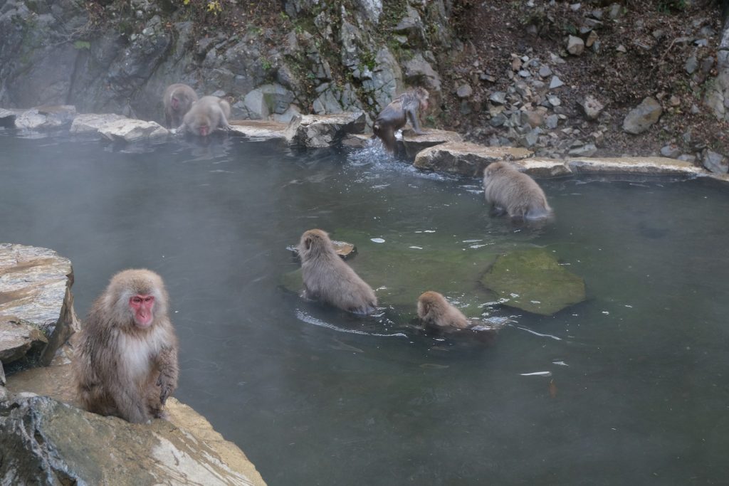 Winter Hot Springs Soaks