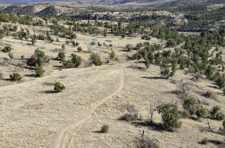 Clear Midday Light On The Gila River